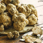 white truffle.jpg